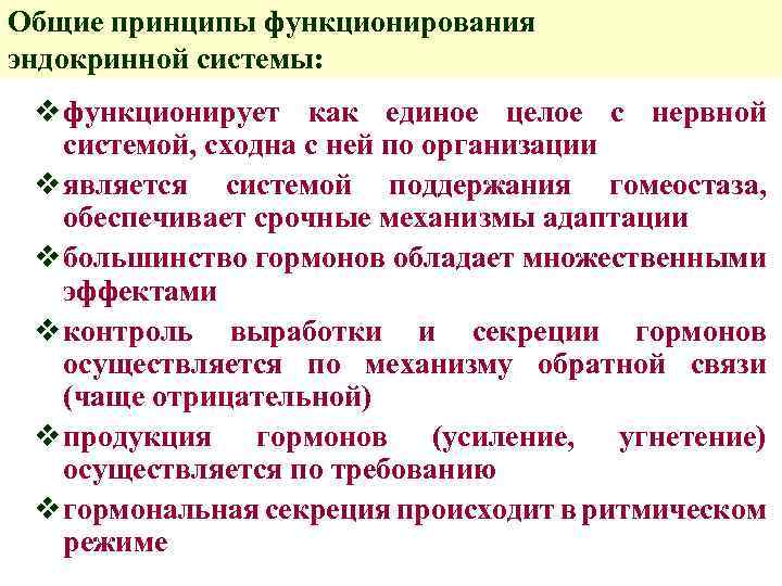 Общие принципы функционирования эндокринной системы: v функционирует как единое целое с нервной системой, сходна