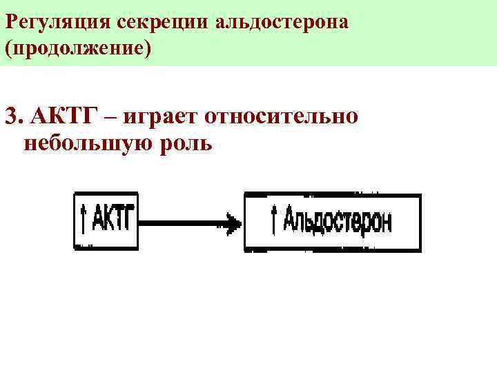 Регуляция секреции альдостерона (продолжение) 3. АКТГ – играет относительно небольшую роль 