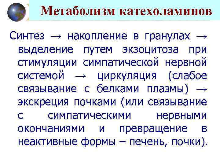  Метаболизм катехоламинов Синтез → накопление в гранулах → выделение путем экзоцитоза при стимуляции