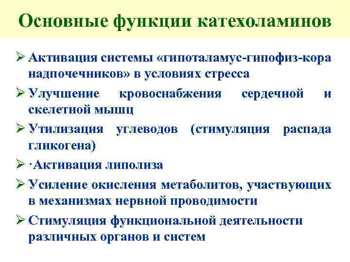 Основные функции катехоламинов Ø Активация системы «гипоталамус-гипофиз-кора надпочечников» в условиях стресса Ø Улучшение кровоснабжения