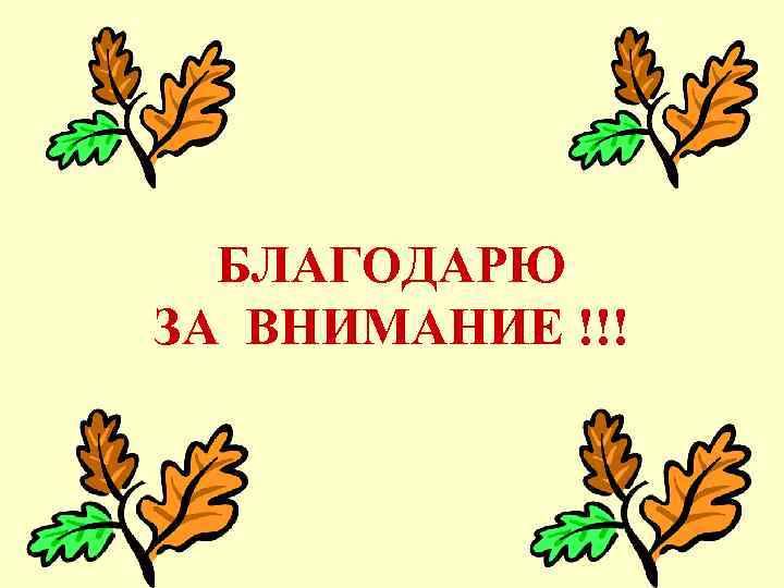 БЛАГОДАРЮ ЗА ВНИМАНИЕ !!! 