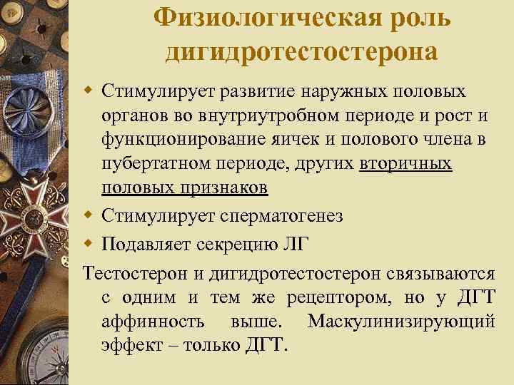Физиологическая роль дигидротестостерона w Стимулирует развитие наружных половых органов во внутриутробном периоде и рост