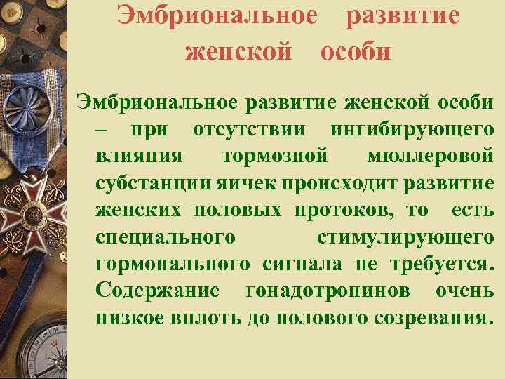 Эмбриональное развитие женской особи Эмбриональное развитие женской особи – при отсутствии ингибирующего влияния тормозной