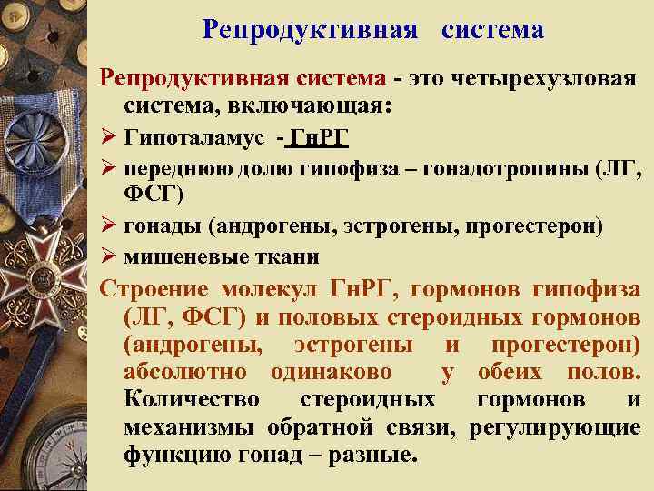 Репродуктивная система Репродуктивная система - это четырехузловая система, включающая: Ø Гипоталамус - Гн. РГ