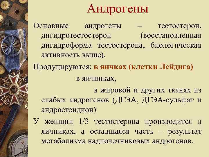 Андрогены Основные андрогены – тестостерон, дигидротестостерон (восстановленная дигидроформа тестостерона, биологическая активность выше). Продуцируются: в