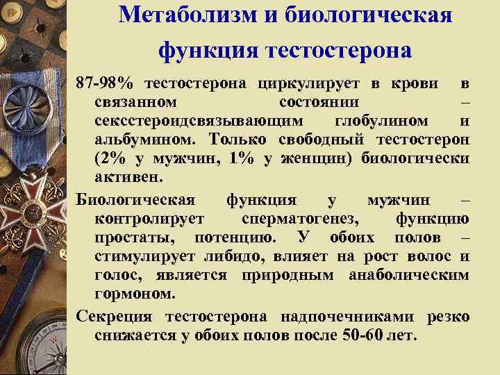 Метаболизм и биологическая функция тестостерона 87 -98% тестостерона циркулирует в крови в связанном состоянии