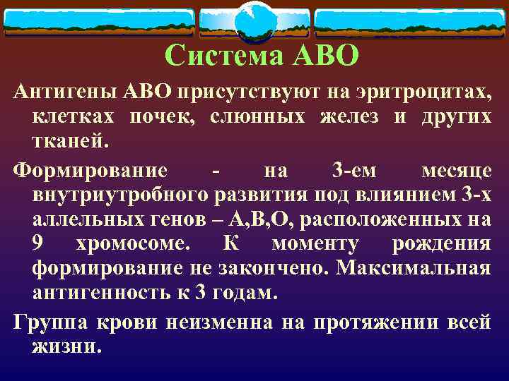 Система АВО Антигены АВО присутствуют на эритроцитах, клетках почек, слюнных желез и других тканей.