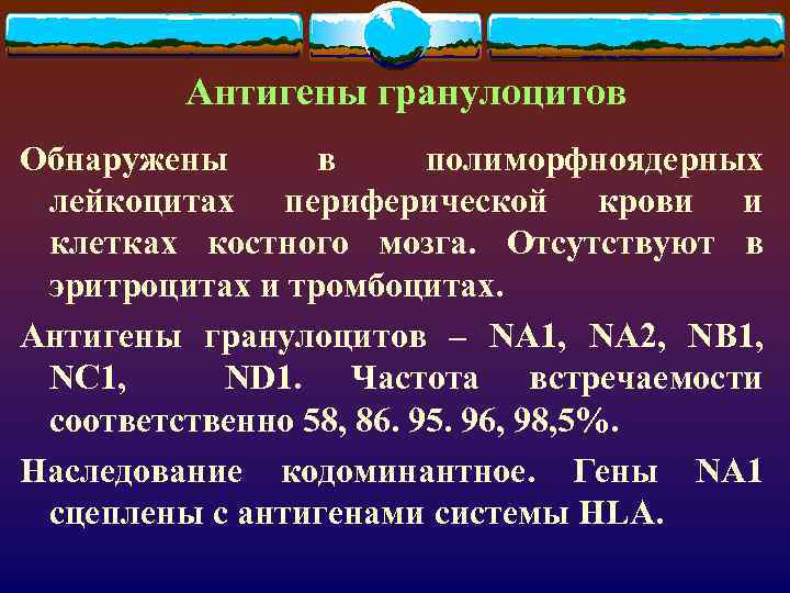 Антигены гранулоцитов Обнаружены в полиморфноядерных лейкоцитах периферической крови и клетках костного мозга. Отсутствуют в