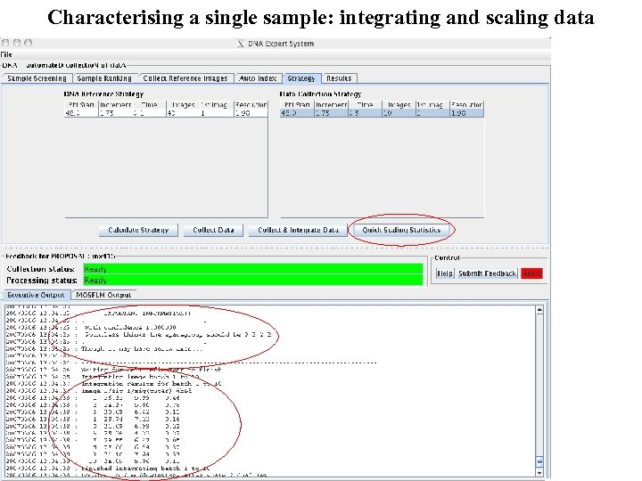 Characterising a single sample: integrating and scaling data 