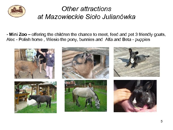 Other attractions at Mazowieckie Sioło Julianówka - Mini Zoo – offering the children the