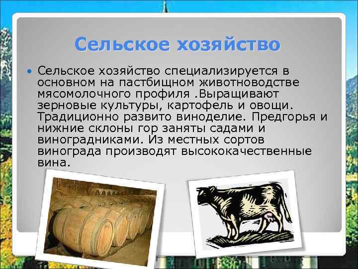 Сельское хозяйство специализируется в основном на пастбищном животноводстве мясомолочного профиля. Выращивают зерновые культуры, картофель