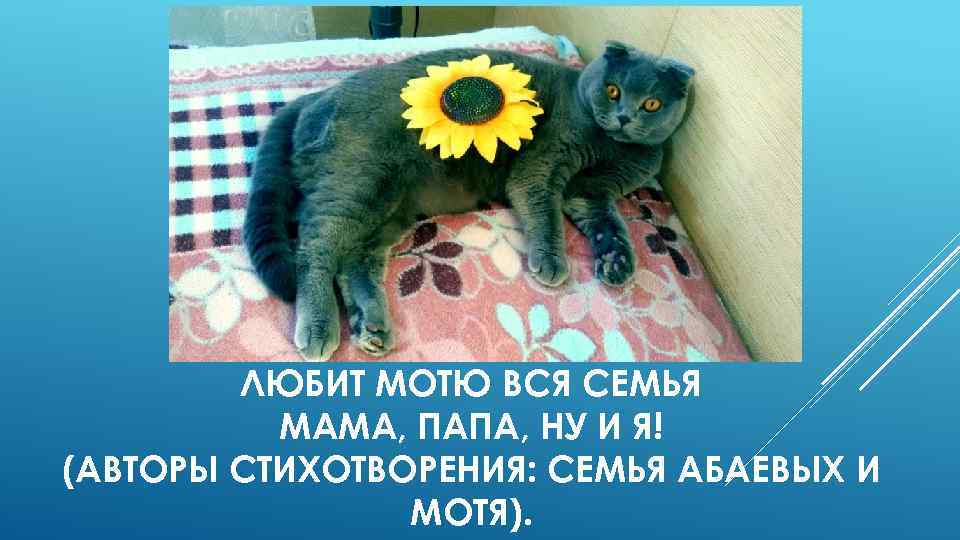 ЛЮБИТ МОТЮ ВСЯ СЕМЬЯ МАМА, ПАПА, НУ И Я! (АВТОРЫ СТИХОТВОРЕНИЯ: СЕМЬЯ АБАЕВЫХ И