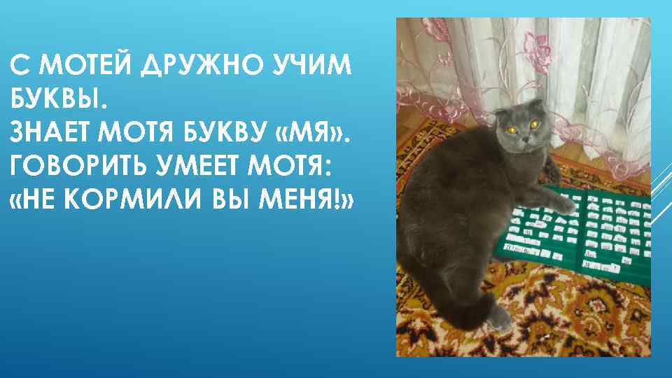 С МОТЕЙ ДРУЖНО УЧИМ БУКВЫ. ЗНАЕТ МОТЯ БУКВУ «МЯ» . ГОВОРИТЬ УМЕЕТ МОТЯ: «НЕ