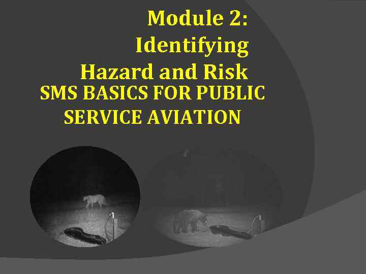 Module 2: Identifying Hazard and Risk SMS BASICS FOR PUBLIC SERVICE AVIATION 
