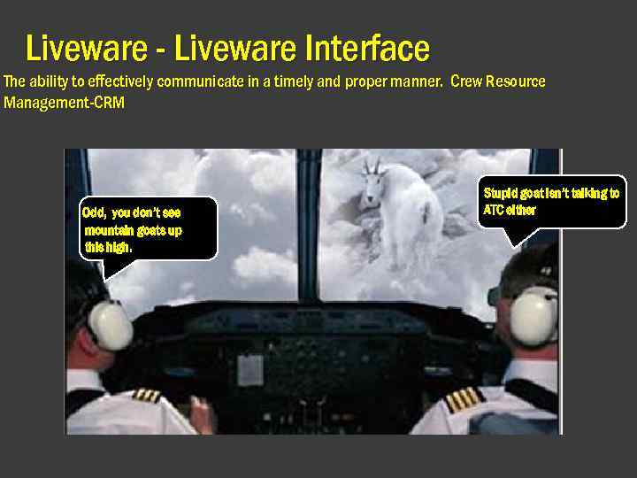 Liveware - Liveware Interface The ability to effectively communicate in a timely and proper
