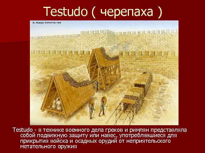 Testudo ( черепаха ) Testudo - в технике военного дела греков и римлян представляла