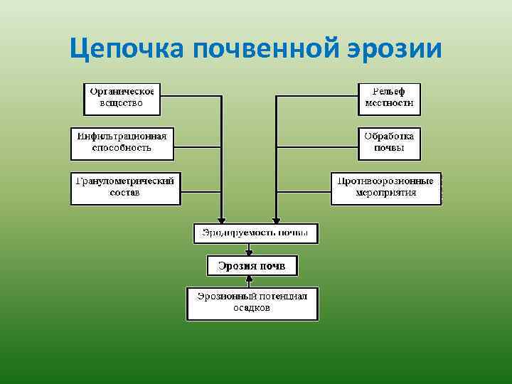 Цепочка почвенной эрозии 