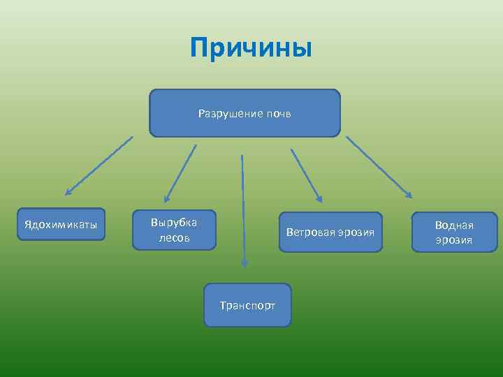 В чем причина разрушения почв