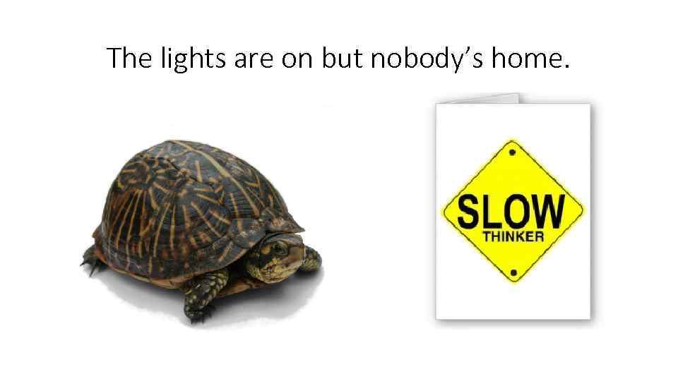 The lights are on but nobody’s home. 