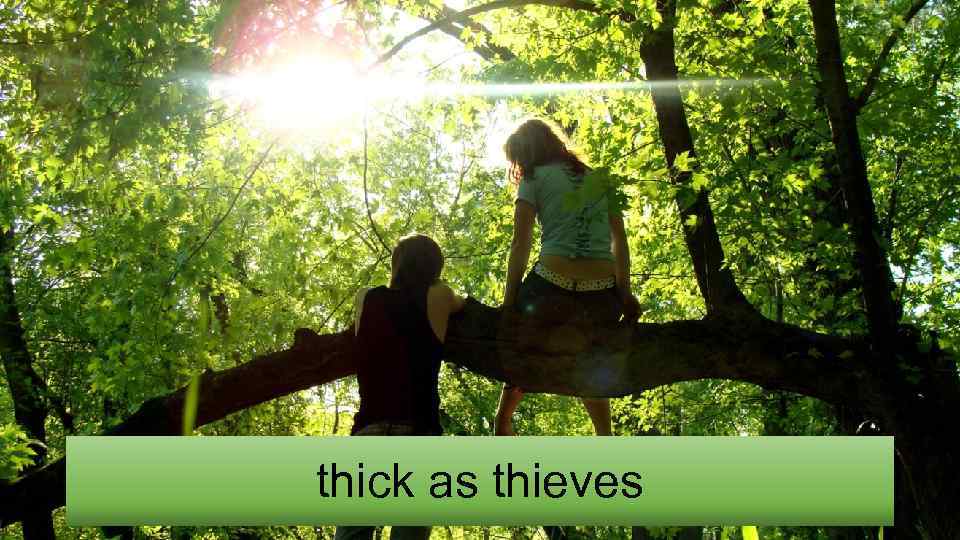 thick as thieves 