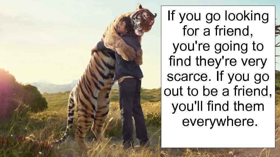 If you go looking for a friend, you're going to find they're very scarce.