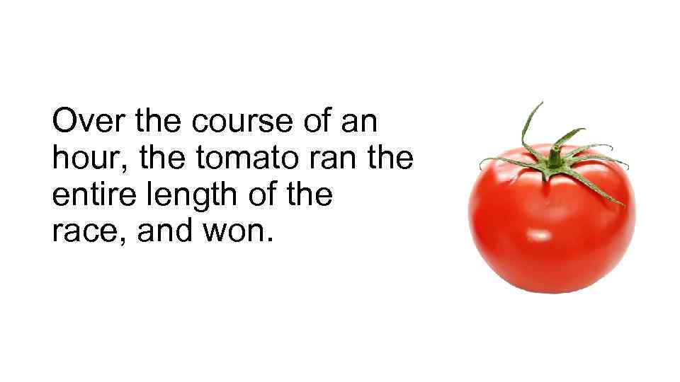 Over the course of an hour, the tomato ran the entire length of the