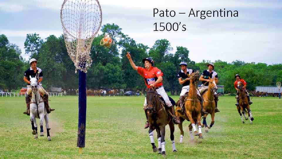 Pato – Argentina 1500’s 