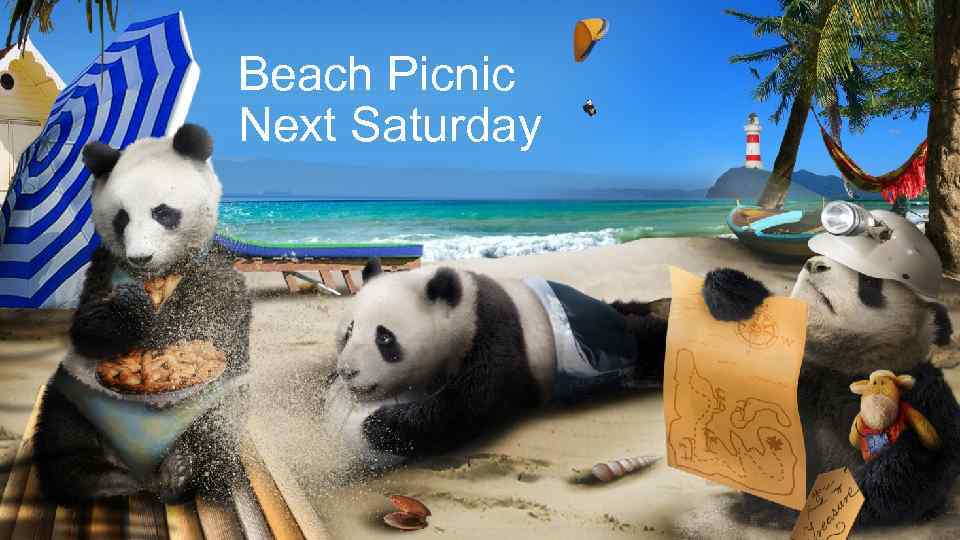 Beach Picnic Next Saturday 