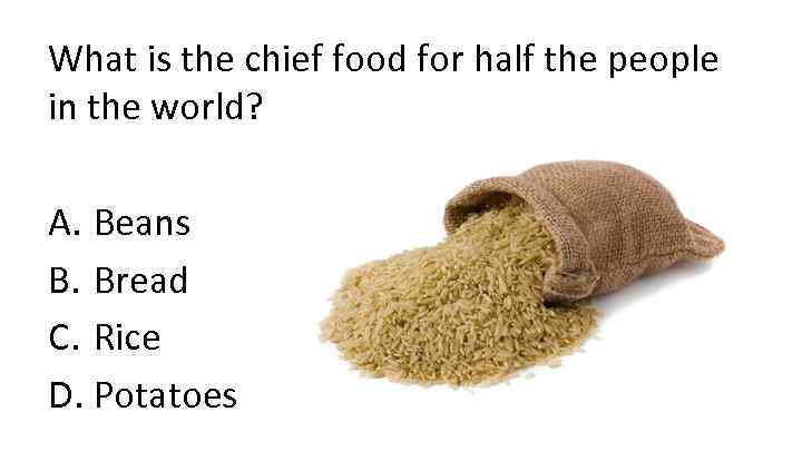 What is the chief food for half the people in the world? A. Beans