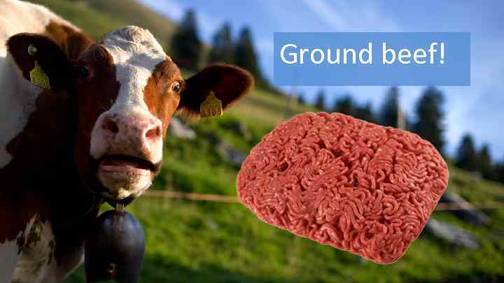 Ground beef! 