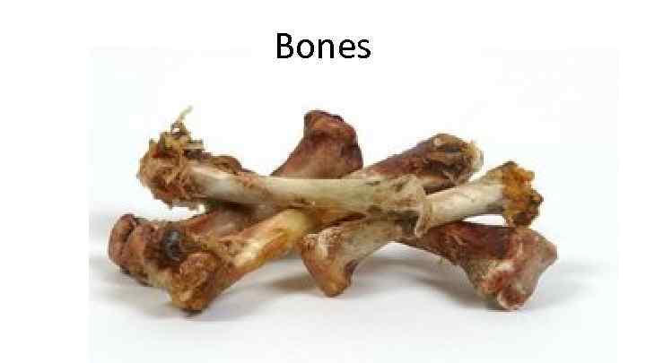 Bones 