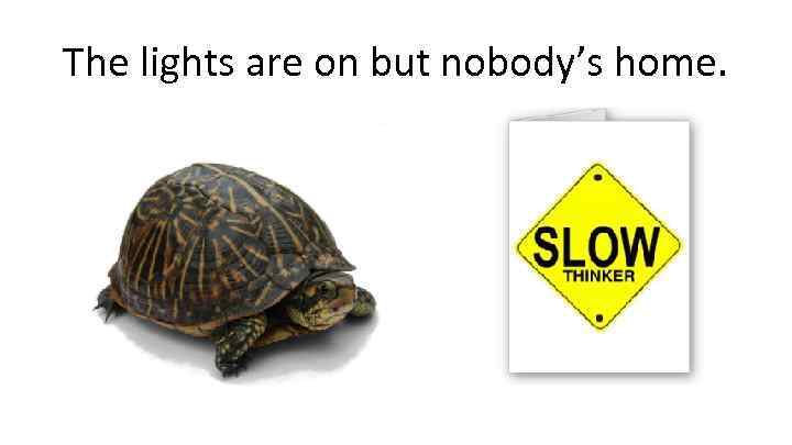 The lights are on but nobody’s home. 