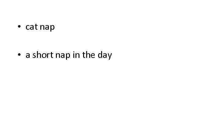  • cat nap • a short nap in the day 