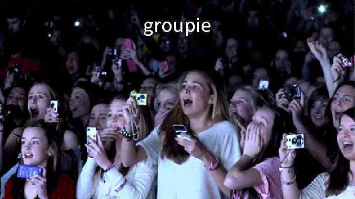 groupie 