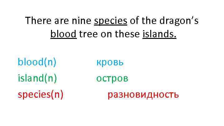 There are nine species of the dragon’s blood tree on these islands. blood(n) island(n)