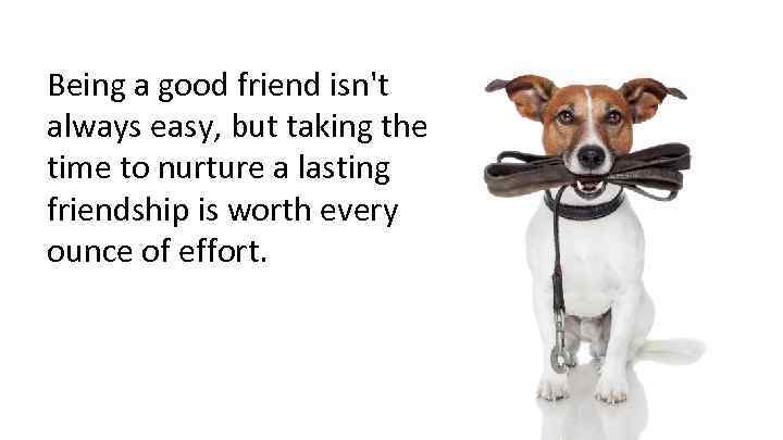 Being a good friend isn't always easy, but taking the time to nurture a