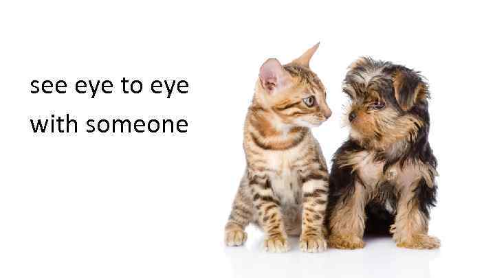 see eye to eye with someone 