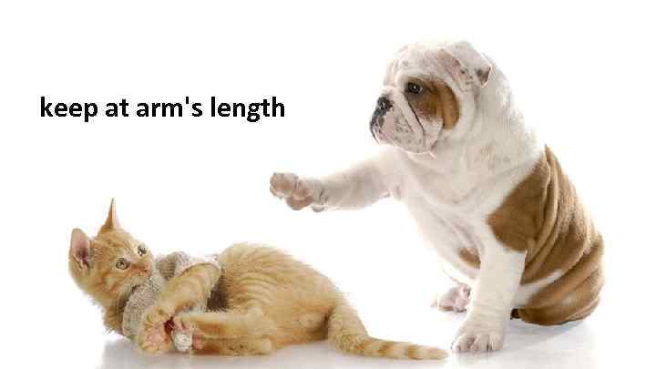 keep at arm's length 