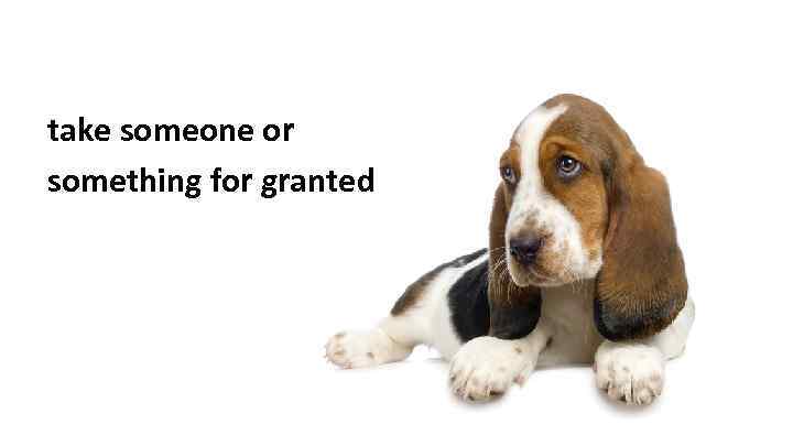 take someone or something for granted 