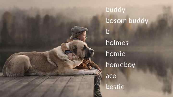 buddy bosom buddy b holmes homie homeboy ace bestie 