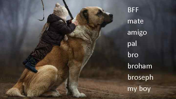 BFF mate amigo pal broham broseph my boy 