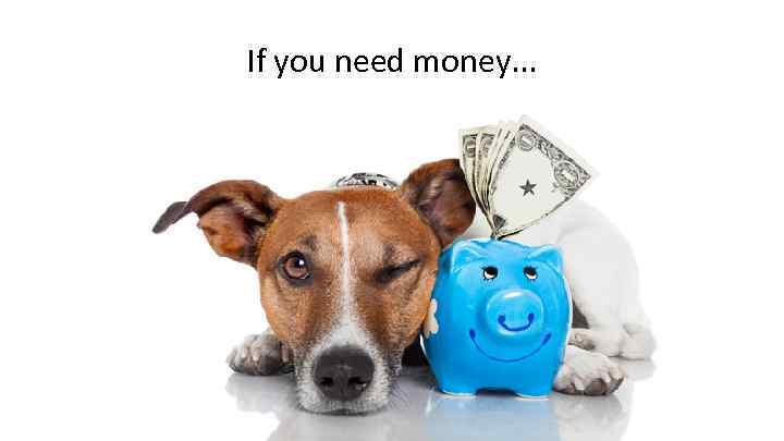 If you need money. . . 