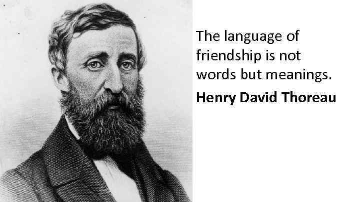 The language of friendship is not words but meanings. Henry David Thoreau 