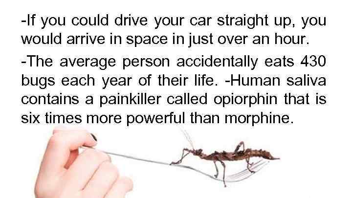 -If you could drive your car straight up, you would arrive in space in