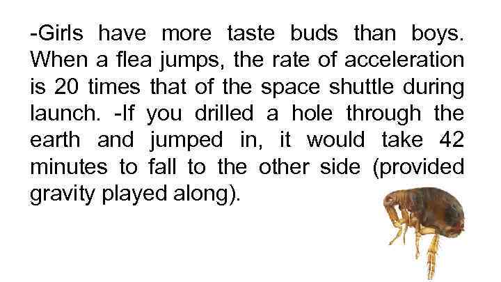 -Girls have more taste buds than boys. When a flea jumps, the rate of