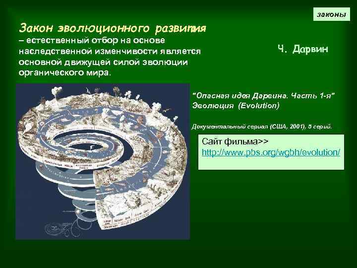 законы Закон эволюционного развития – естественный отбор на основе наследственной изменчивости является основной движущей