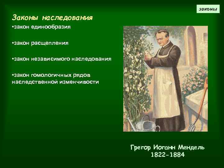 законы Законы наследования • закон единообразия • закон расщепления • закон независимого наследования •