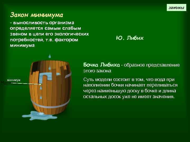 законы Закон минимума - выносливость организма определяется самым слабым звеном в цепи его экологических