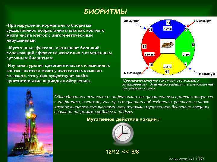 БИОРИТМЫ -При нарушении нормального биоритма существенное возрастание в клетках костного мозга числа клеток с