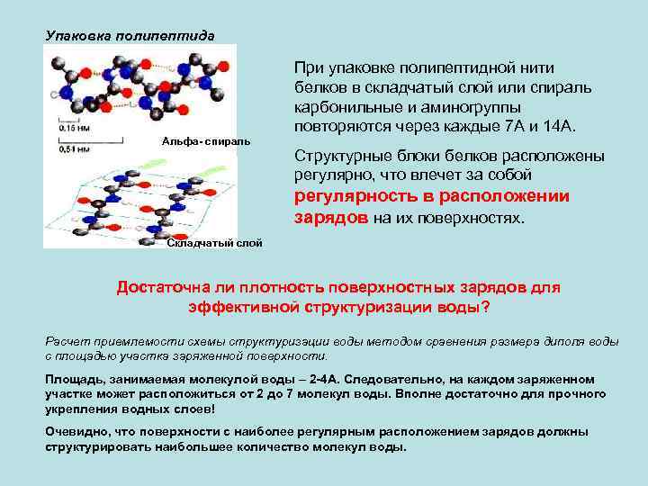 Упаковка полипептида Альфа- спираль При упаковке полипептидной нити белков в складчатый слой или спираль